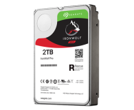 Seagate IronWolf Pro 2TB 3,5'' ST2000NE0025 - 1388174 - zdjęcie 1